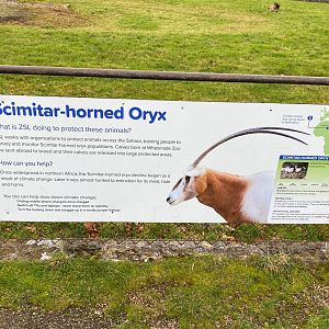 Updated Scimitar Horned Oryx Signage, ZSL Whipsnade