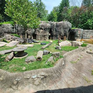 Rowan Wild (2023) - Bear enclosure