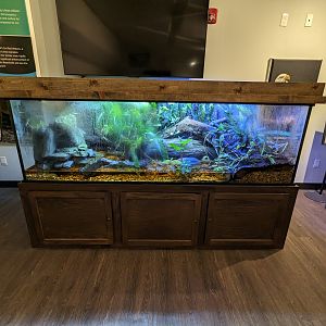 Jacarlene Foundation Animal Care Campus - Poison dart frog enclosure