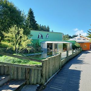 Pavillion des Manchots