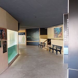 Pavillion des Manchots - Visitors area