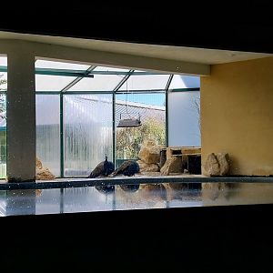 Pavillion des Manchots