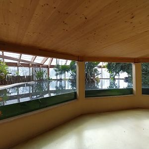 Dôme des espèces menacées - Siamese crocodile enclosure