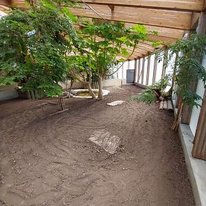 Dôme des espèces menacées - Galapagos giant tortoise enclosure