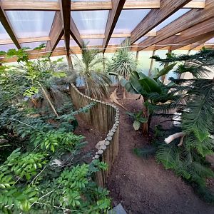 Dôme des espèces menacées - Komodo dragon enclosure