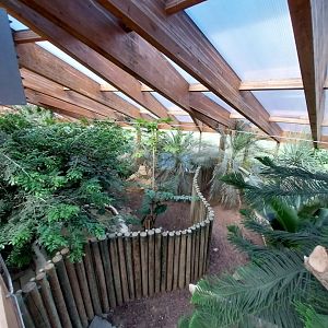 Dôme des espèces menacées - Komodo dragon enclosures