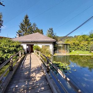 Grande Volière - Winter quarters