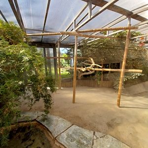 Volière des ibis - Winter quarters