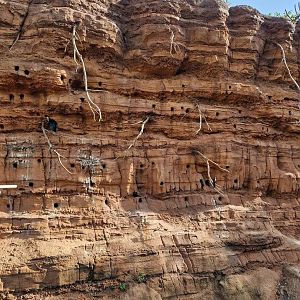 Heart of Africa, Nesting rock