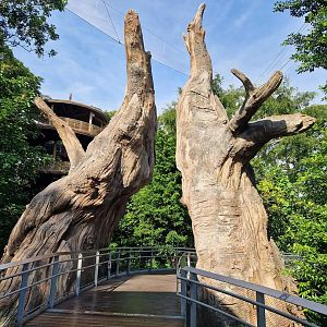 Heart of Africa entrance