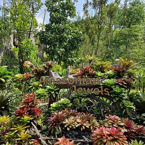 Amazonian Jewels sign
