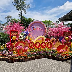 Bird Paradise entrance