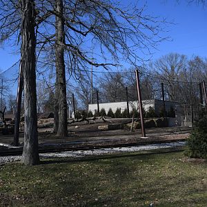 New Andean Bear exhibit, opening spring 2024