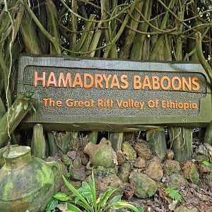 The Great Riff Valley of Ethiopia entrance