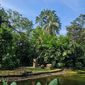 Red-shanked Douc Langur exhibit