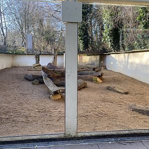 Meerkat and Crested porcupine enclosure 260124
