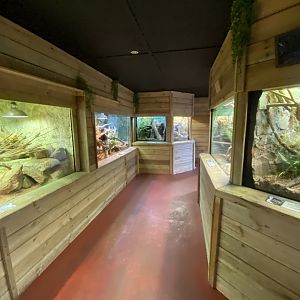 Reptile House 260124