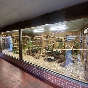 Multi-species South American exhibit 260124