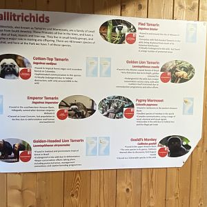 Callitrichids signage 260124