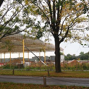 Construction site for "The Sanctuary", 5 hectare South American tropical hall, 2023-10-13