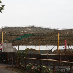 Construction site for "The Sanctuary", 5 hectare South American tropical hall, 2023-10-13