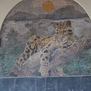 New entrance - Golden Clock Square - Clouded leopard mosaic, 2023-10-13