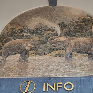 New entrance - Golden Clock Square - Asian elephant mosaic, 2023-10-13