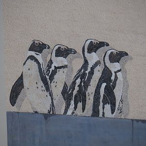 New entrance - African penguins mosaic, 2023-10-13