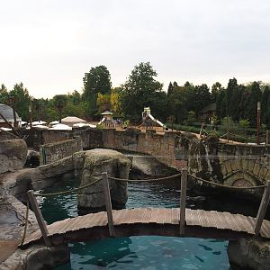 Cape fur seal exhibit, 2023-10-13