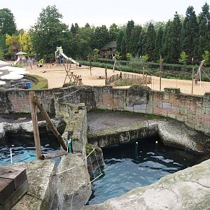 Cape fur seal exhibit, 2023-10-13
