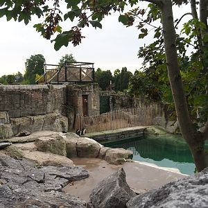Juvenile African penguin exhibit, 2023-10-13