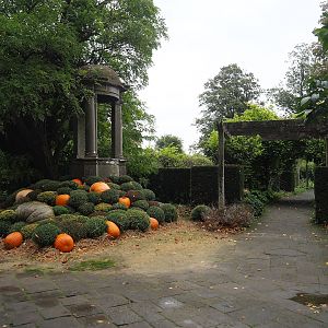 Gardens with fall decorations, 2023-10-13