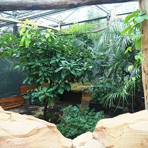 Aviary undergoing renovation, 2023-10-13