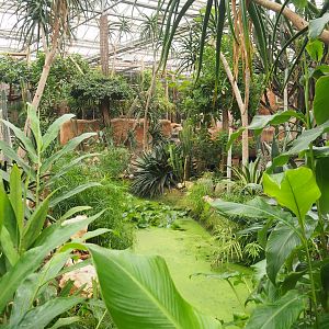 Desert oasis gardens, 2023-10-13