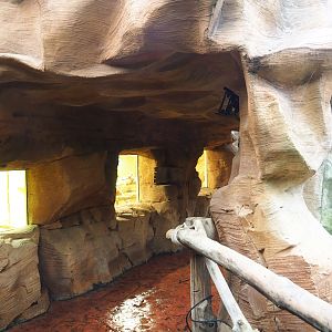 Green iguana terrarium viewing area, 2023-10-13