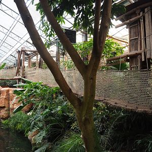 Oasis adventure bridge, 2023-10-13