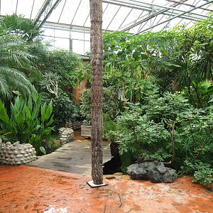Bridge over pond in the Oasis greenhouse, 2023-10-13
