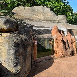 Pancake tortoise/plated lizard enclosure