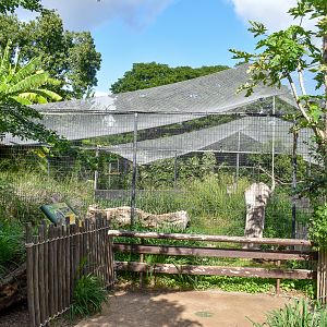 Marabou stork aviary
