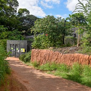 African savannah aviary (closed)