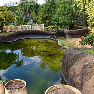 Gharial enclosure