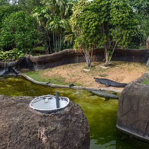 Gharial enclosure