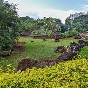 Giant tortoise enclosure