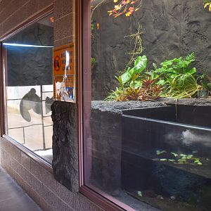 Giant salamander tank (two of four)