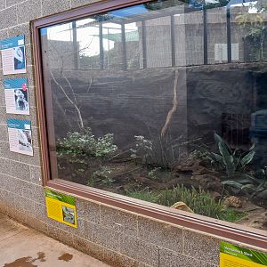 Star Tortoise/Assorted lizard enclosure