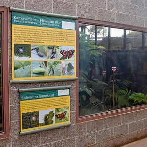 Kamehameha butterfly enclosure