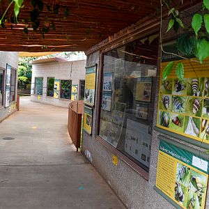 Ectotherm complex pathway