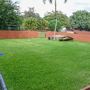 Ploughshare Tortoise enclosure