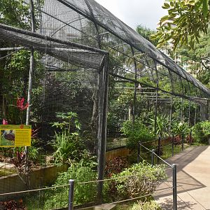 Tropical bird aviaries