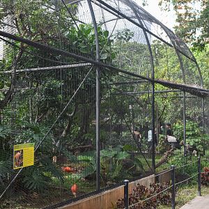 Tropical bird aviaries
